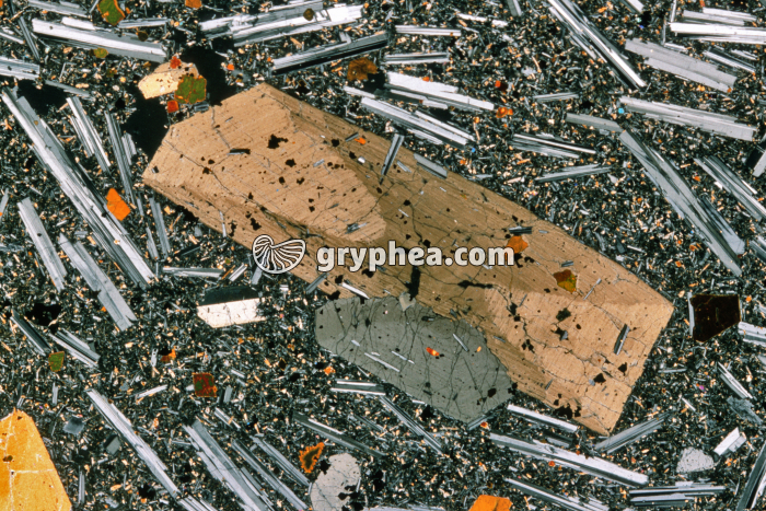 Basalte demi-deuil - Macle en sablier dans un cristal de pyroxène LPA x5 - gryphea.org